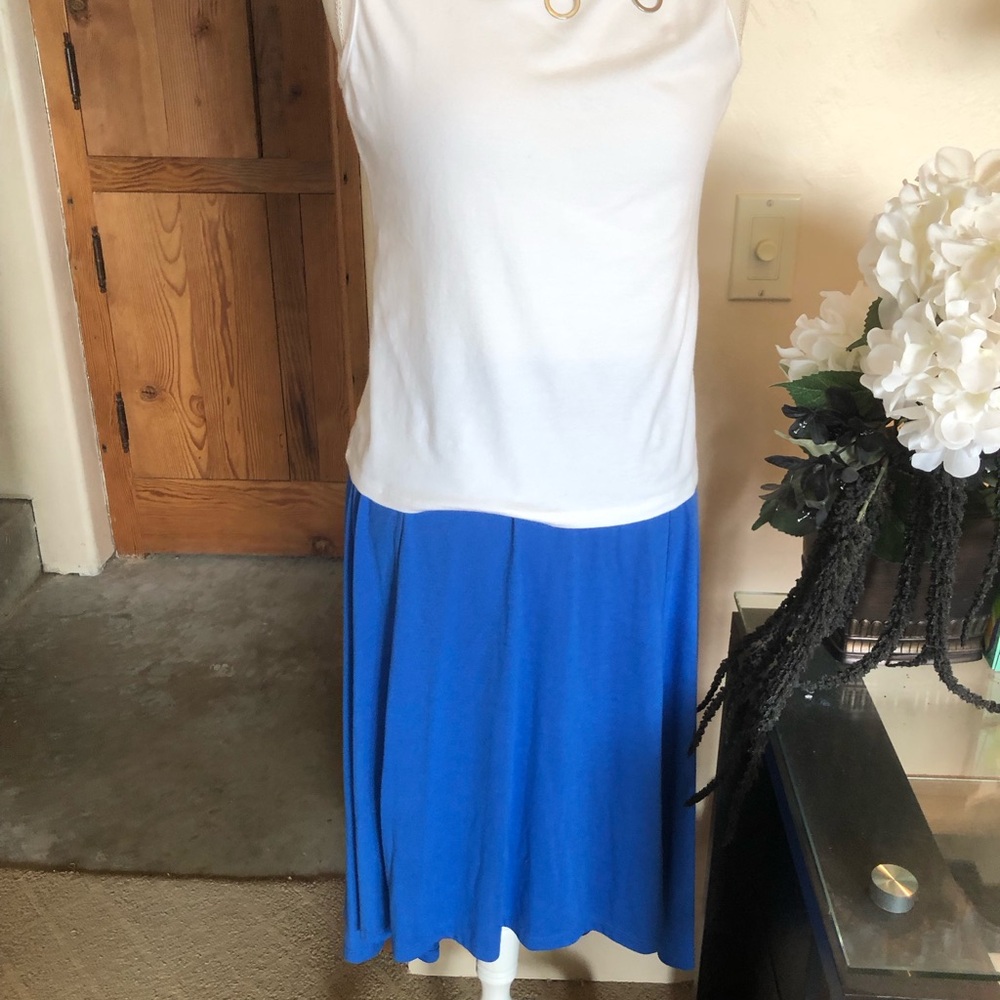 Blue Women's Skirt